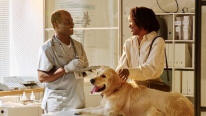 Regulamentação amplia autonomia de veterinários no Brasil