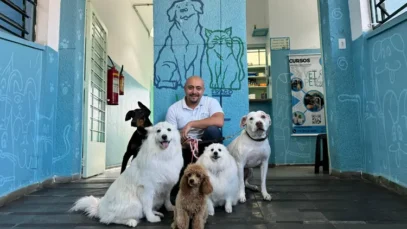 Banho e tosa cresce, fatura 1,8 mi e planeja rede de franquias