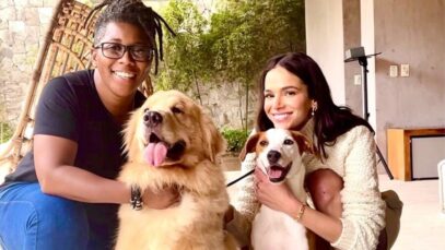 Adestramento de cães