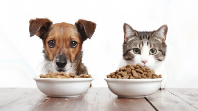 alimentos naturais super premium