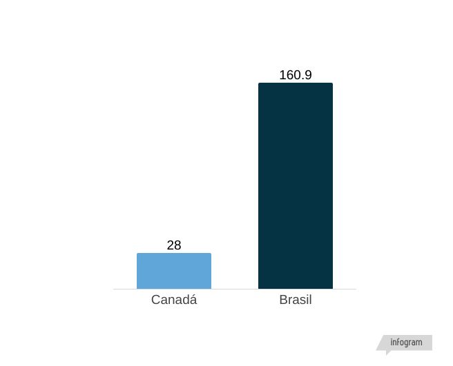 modelo-panorama-petvet (11) VAREJISTA PET DO CANADÁ