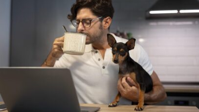 MARKETPLACE PARA PET SHOPS