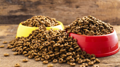 ALIMENTAÇÃO ANIMAL Sindirações, pet food, rações