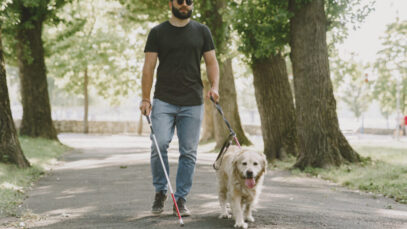 cão de assistência