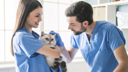 EAD PARA VETERINÁRIOS