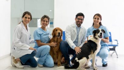MEDICINA VETERINÁRIA NO BRASIL
