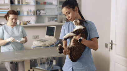 REAJUSTE SALARIAL DOS VETERINÁRIOS