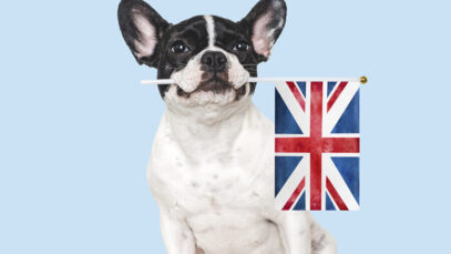 INDÚSTRIA PET NO REINO UNIDO