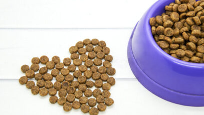 Brazilian Pet Foods antecipa tendências de nutrição animal