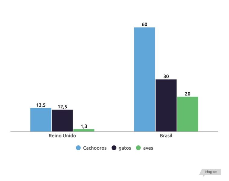 INDÚSTRIA PET NO REINO UNIDO