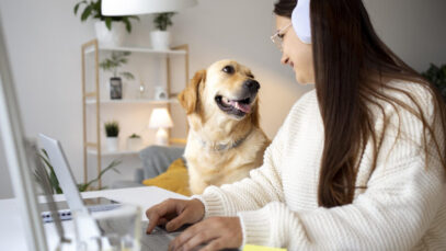 gestão de clínicas veterinárias