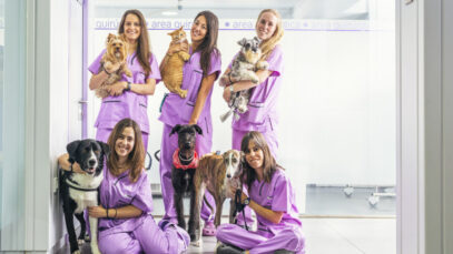 Mulheres veterinárias reforçam liderança feminina no setor