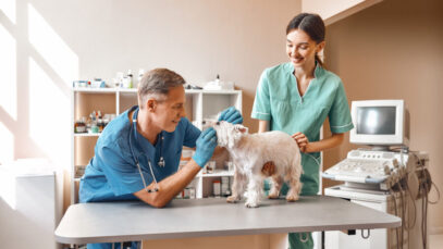 Dia do Auxiliar Veterinário