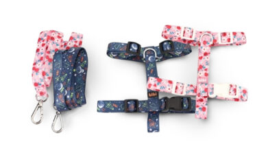 coleção de coleiras Calçados bibi