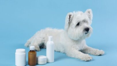 Pharmal mira mercado de manipulação veterinária