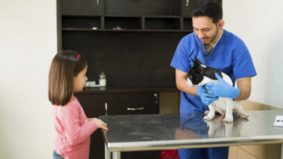 Entenda os impactos da pejotização na área veterinária