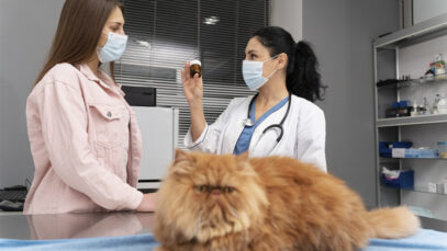 Número de estabelecimentos veterinários no Brasil