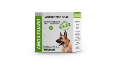 Medicamento para tratamento de infecções em cães