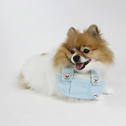 coleção de bandanas, Leo e Lia