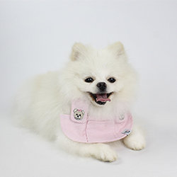 coleção de bandanas, Leo e Lia