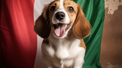 um-cao-com-uma-bandeira-verde-e-branca-atras-dele-buon-ferragostos-fundo