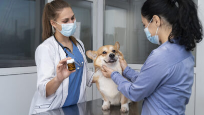 MANIPULAÇÃO DE MEDICAMENTOS VETERINÁRIOS