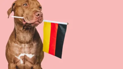 indústria pet alemã