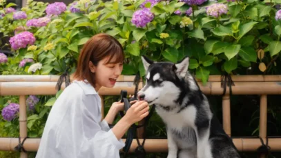 mercado pet do Japão mercado pet, pet food, wearables, animais de estimação