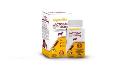 simbiótico para cães