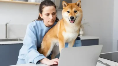 publicidade na veterinária