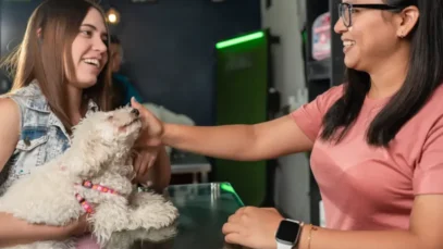 decisão de compra dos tutores, consumo pet