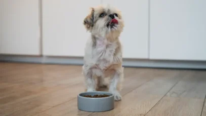 fábrica de nutrição animal