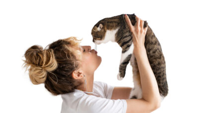 protetor-de-animais-no-brasil