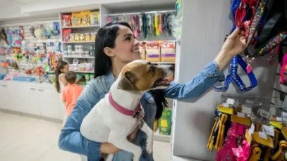 lojistas do setor pet