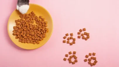 mercado global de pet food