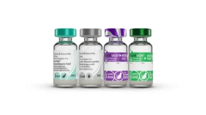 Linha inovadora de vacinas para gatos chega no Brasil