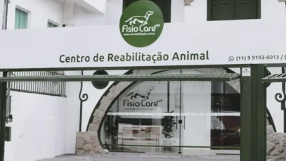 Fisio Care Pet, franquias, fisioterapia veterinária