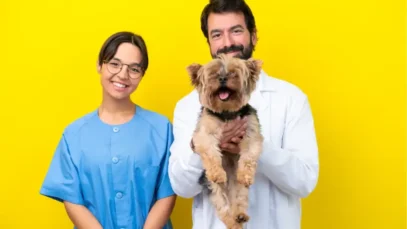 salários dos veterinários